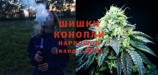 сатива Абдулино