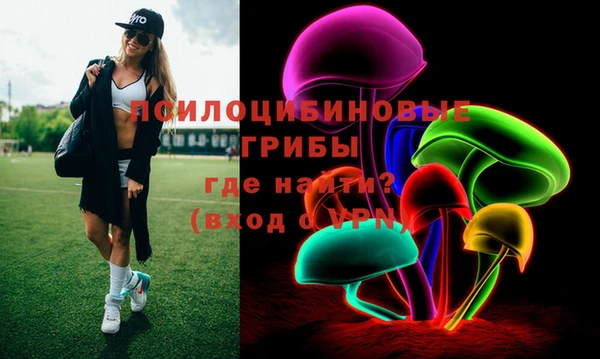 сатива Абдулино