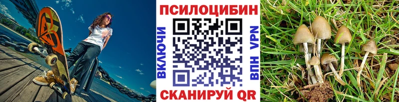 ссылка на мегу   Южа  Псилоцибиновые грибы Psilocybine cubensis  дарнет шоп 